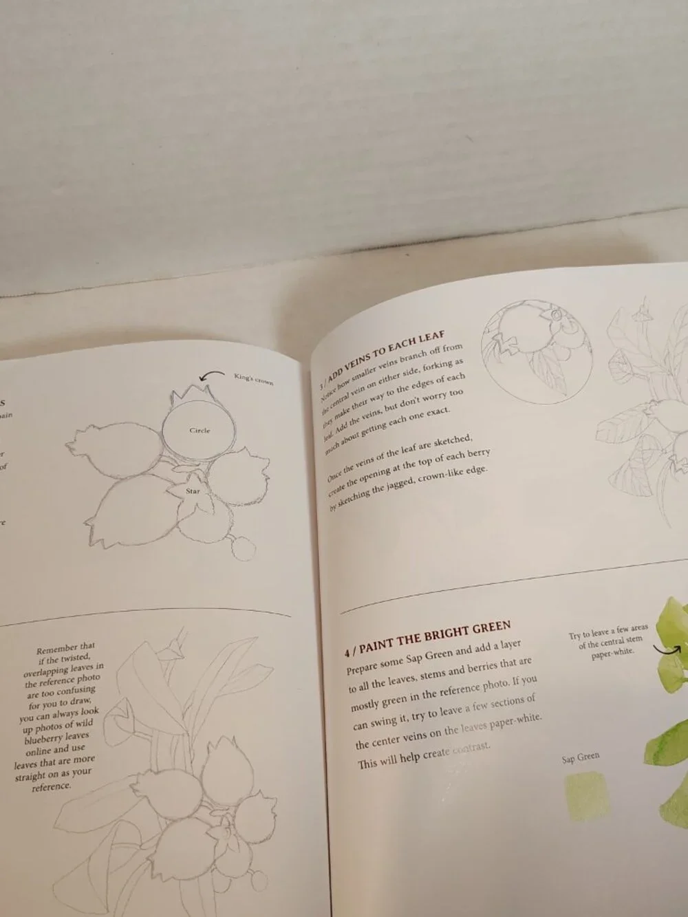 Watercolor In Nature 20 Beginner Friendly Projects Rosalie Haizlett PB Book 2021